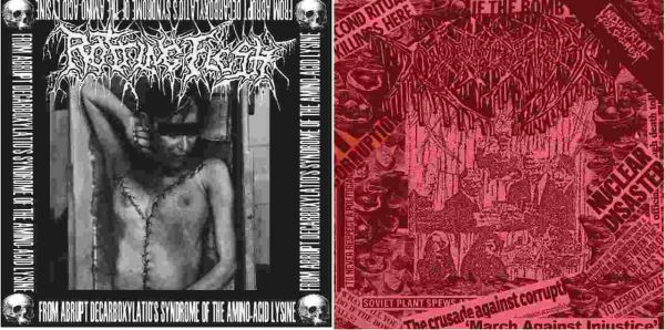 Rotting Flesh / Morbideath - From Abrupt Decarboxylation's Syndrome Of The Amino-Acid Lysine