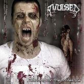 Avulsed – Yearning For The Grotesque